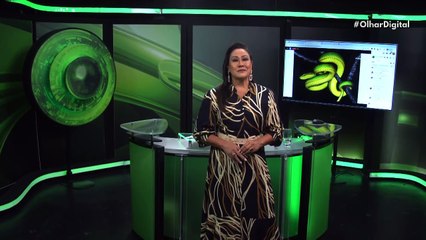 Câmera de segurança protege a casa atirando bolinhas de paintball