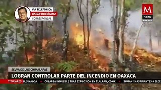 En Oaxaca, logran controlar parte del incendio en Selva de los Chimalapas