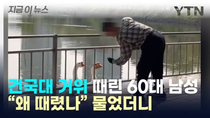 건국대 거위 학대 혐의 60대 남성 구속, 경찰 조사 진행 🦢