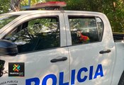 ext-Fuerza Pública rescató a guacamaya herida en Puntarenas-160424