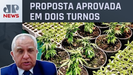 Senador Izalci Lucas analisa PEC das Drogas: “Atendemos ao pedido da população”