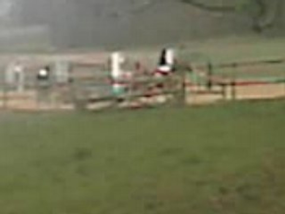 gaya et moi  cso nexon E1