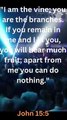 Bible Famous Quote and Bible Verse (New Testament - John 15:5)