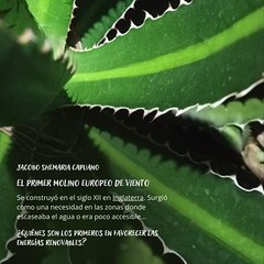 -Jacobo Shemaria Capuano- ¿Quiénes son los primeros en favorecer las energías renovables? (Parte 1) (Creado por @JacoboShemariaCapuano)