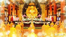 Phật dạy Kho báu bên trong mỗi chúng ta