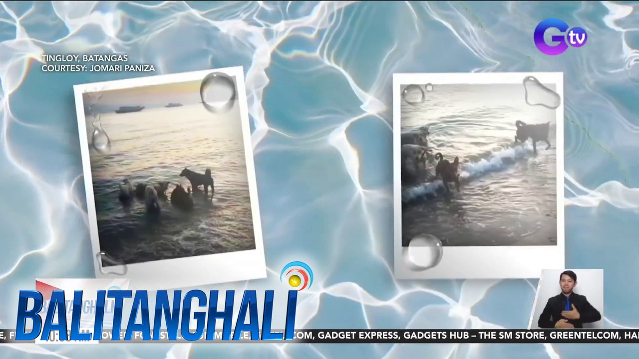 Buti pa ang 5 aso, nakapag-beach na! | BT