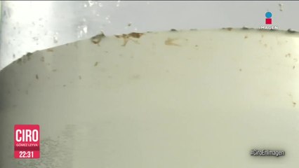 “Huele a aceite de carro”: Crisis del agua contaminada en la BJ parece no tener fin