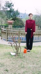 抖音新剧上线🔥《寻找失落的爱》(下集)精彩继续