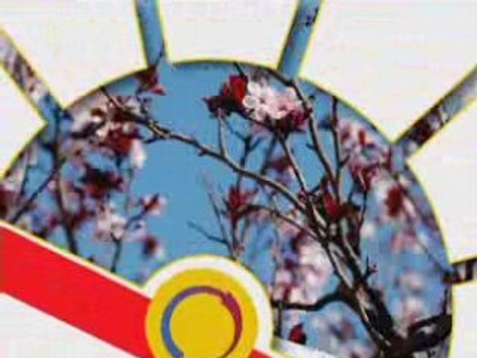 Chauffage electrique/pompe à chaleur