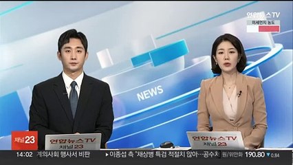 이종섭 측 "채상병 특검 우려…재판 진행 막을 것"