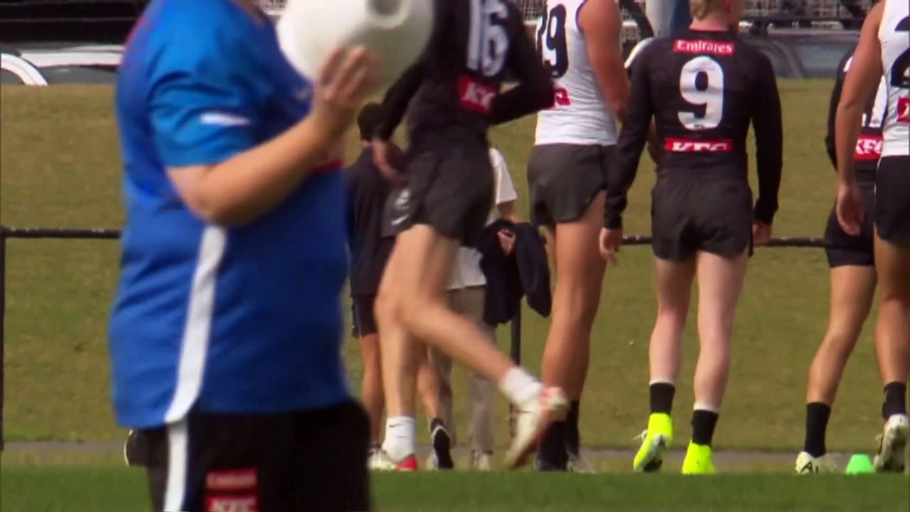 Collingwood defender Nathan Murphy retires from the AFL due to concussion concerns