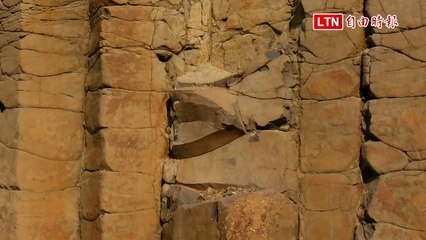 澎湖玄武岩柱現「龍頭」奇景，網友驚呼創意十足🦖