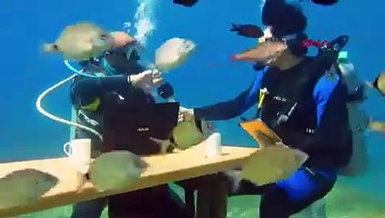 Türkiye'nin tatil cennetinde su altında turizm toplantısı