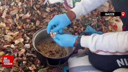 Her şeye rağmen evlerde fide yetiştirerek hayatı yeşertmeye çalışıyor