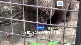 Un incendio arrasa el zoo de Crimea matando a 200 animales