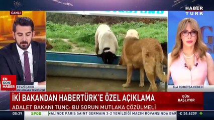 Yılmaz Tunç'tan sokak köpeği açıklaması
