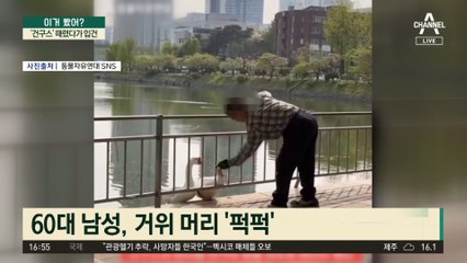 ‘건구스’ 때렸다가 경찰에 입건 ‘큰코’