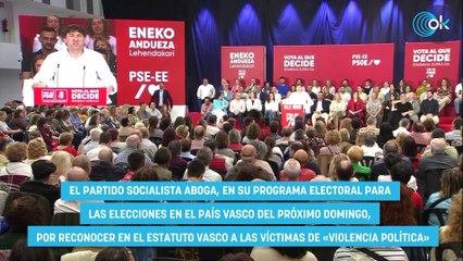 El PSOE quiere que el Estatuto vasco incluya un reconocimiento a los etarras «víctimas» de la Policía