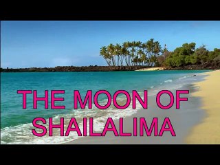 ''THE MOON OF SHAILALIMA '' ( LEO BENNINK  POP /INSTRUMENTAL )