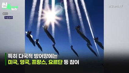 [씬속뉴스]"이란 미사일 막은 건 아이언돔 아닌 미국"…"이스라엘 안보의존도 노출"