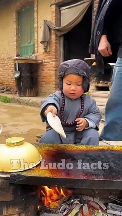 चीकू burger  बनाना सीख लिया  ~ the Ludo facts _ #shorts