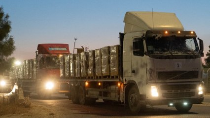 Andrea de Domenico, jefe OCHA en Palestina: "El problema de la hambruna es más complejo que hornear panes pita"