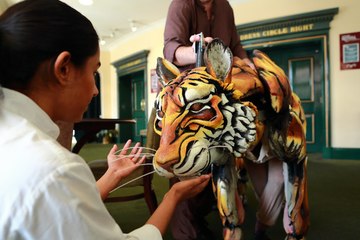 Life of Pi Tiger Encounter in Nottingham