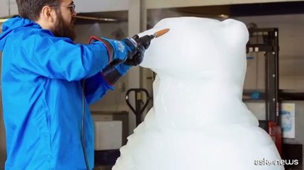 Clima, un orso di ghiaccio a Piazza Castello a Torino