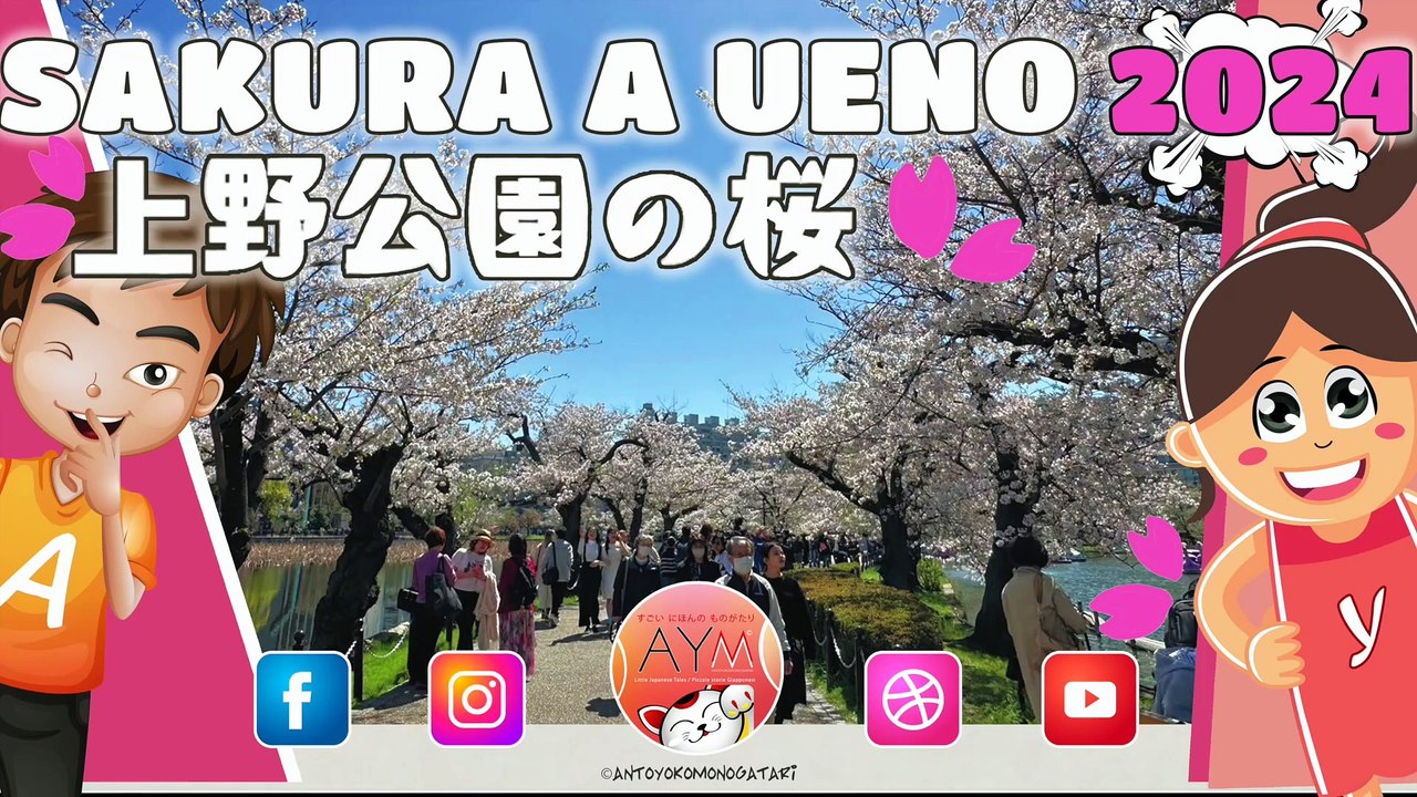  Passeggiata nel Parco di Ueno a Tokyo per vedere l’HANAMI!  SAKURA at Ueno Park! 上野恩賜公園　桜まつり
