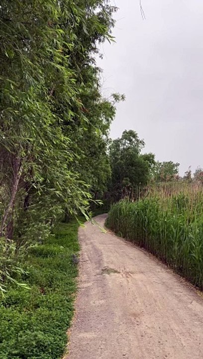 I really want to meet you at the corner of the road