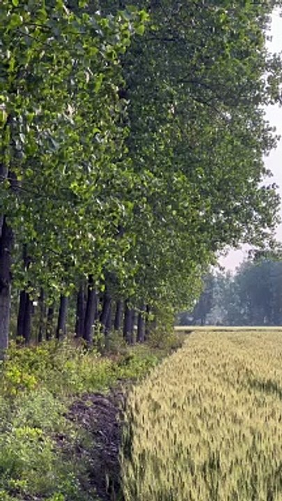 It is simple and beautiful place find where is no any one means peace