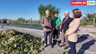 Seyhan Belediye Başkanı Oya Tekin Tesis Ziyaretleri Yaptı