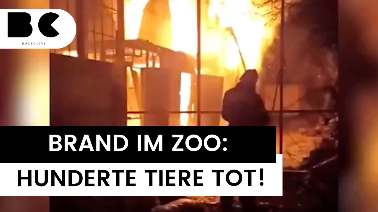 Feuer in Zoo auf Krim: Hunderte Tiere tot!