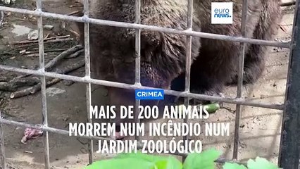 Mais de 200 animais morrem num incêndio na Crimeia