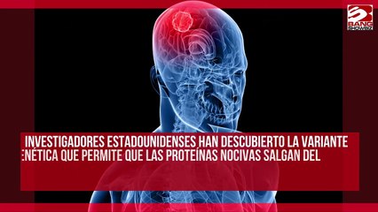Especialistas descubren un gen que reduce en un 70% el riesgo de padecer Alzheimer