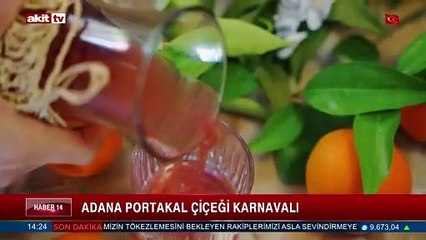 Adana portakal çiçeği karnavalı