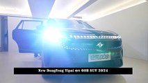 Dongfeng's First SUV , Large Six-Seater SUV , First Look , New Dongfeng Yipai eπ 008 SUV 2024