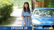 Forbidden Fruit Episode 29 | FULL EPISODE | TAGALOG DUB | Turkish Drama