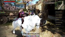 [FR] Black Desert Online : Comment j'ai obtenu un Noble Destrier T8 d'un Cheval T6 + Jument T7