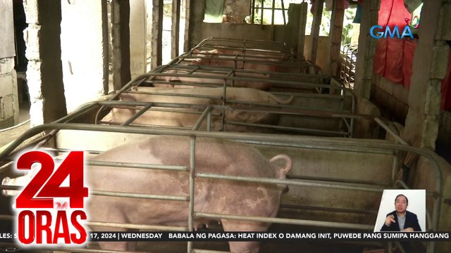 SINAG - 'di dapat umaabot sa P400/kg ang pork; DA: mas mababa ang prevailing price sa palengke | 24 Oras