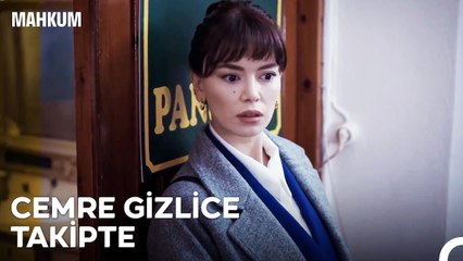 Mesleği Bırakırım Ama Bu İşin Peşini Bırakmam - Mahkum 6. Bölüm