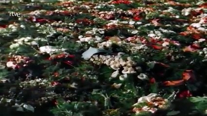 Apocalipsis: la guerra de los mundos - La conquista [1953 - 1955]