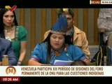 Venezuela participa en el Foro Permanente de la ONU en defensa de los derechos indígenas