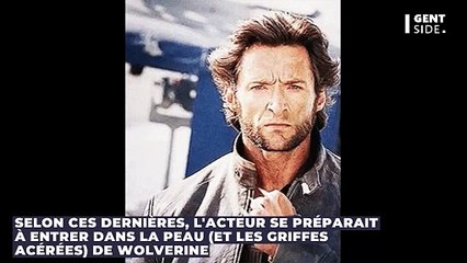 Marvel : Daniel Radcliffe en Wolverine ? L'acteur répond clairement aux rumeurs