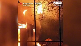 دبان ينجوان من حريق هائل اندلع في حديقة حيوانات في جزيرة القرم