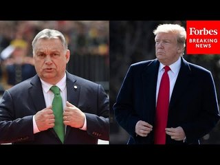 'Very Strong Person, Doesn't Play Games': Trump Brags About Viktor Orbán's Praise