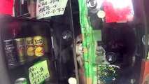 Doge Store Clerk (Shiba)--Shiba Inu In Tokyo
