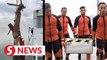 Pulau Angsa incident: Crashed MMEA chopper's black box found