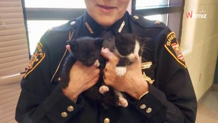 Il jette un sac rempli de chatons sur un parking sans savoir que la police est témoin de la scène