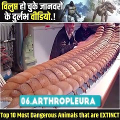 अगर ये प्राचीन जीव आज जिंदा होते तो इंसान का अस्तित्व मिट चुका  होता । Ancient Animal